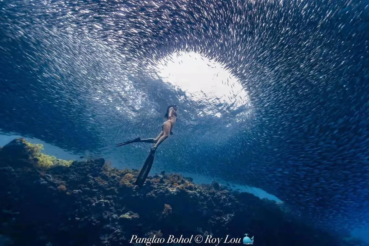 Ultra Mint Dive Resort Panglao Philippines