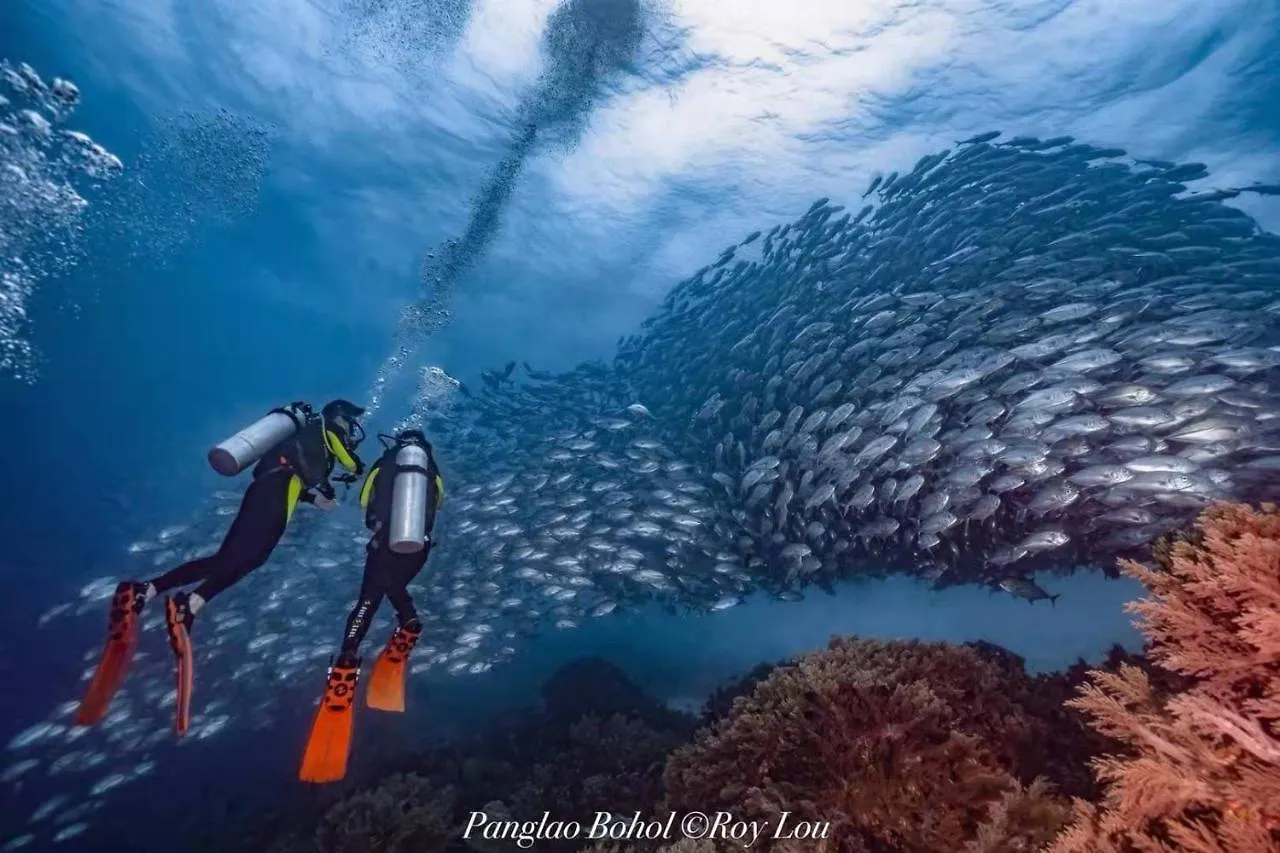 Ultra Mint Dive Resort Panglao 4*,  Philippines